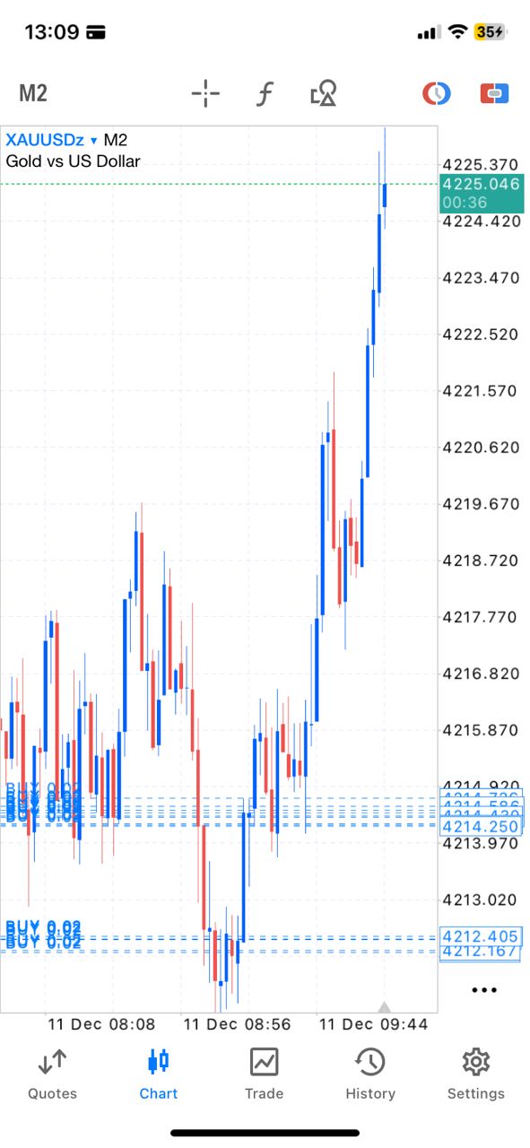 Professional Forex Trading Chart